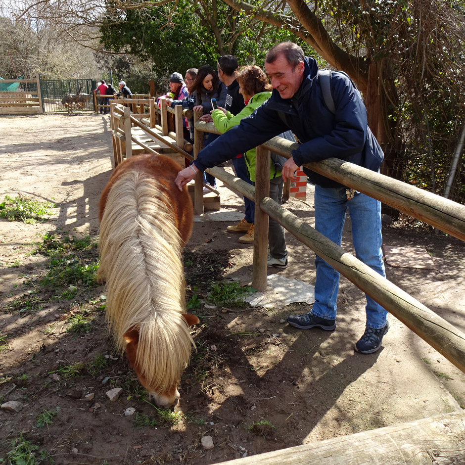 A group visiting a farm, with one man reaching out to a horse
